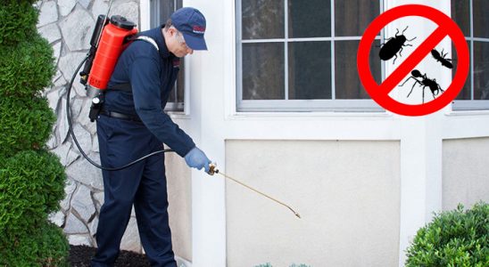 Yakakent Böcek ve Haşere İlaçlama böcek ilaçlama ve haşere kontrolü — ilaclama-tr.com